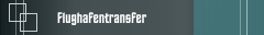 Flughafentransfer